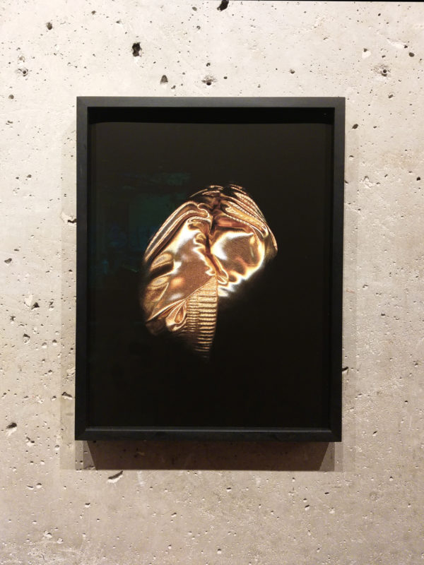 Lot Nr. 17: Charlie Boy #12