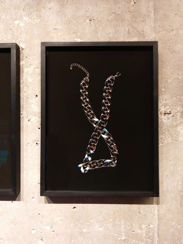Lot Nr. 17: Charlie Boy #11